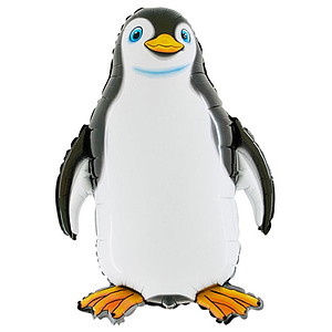 CxgObY^Xܑpi^GAPOPo[[|bvo[] @yM@H70cm
