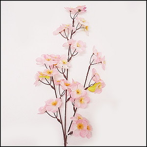 @Xv[}@62cm@12{Zbg