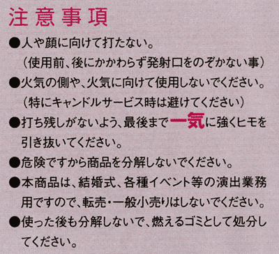 CxgObY^p[eB[Q[^C^uC_NbJ[(2)