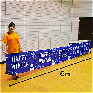 EB^[ @SȂǍ [@60cm~5m@nbs[EB^[