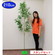 X^ht@{i[EAߒ|@210cm@ig3jZbg