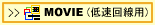 fLV[oht̓